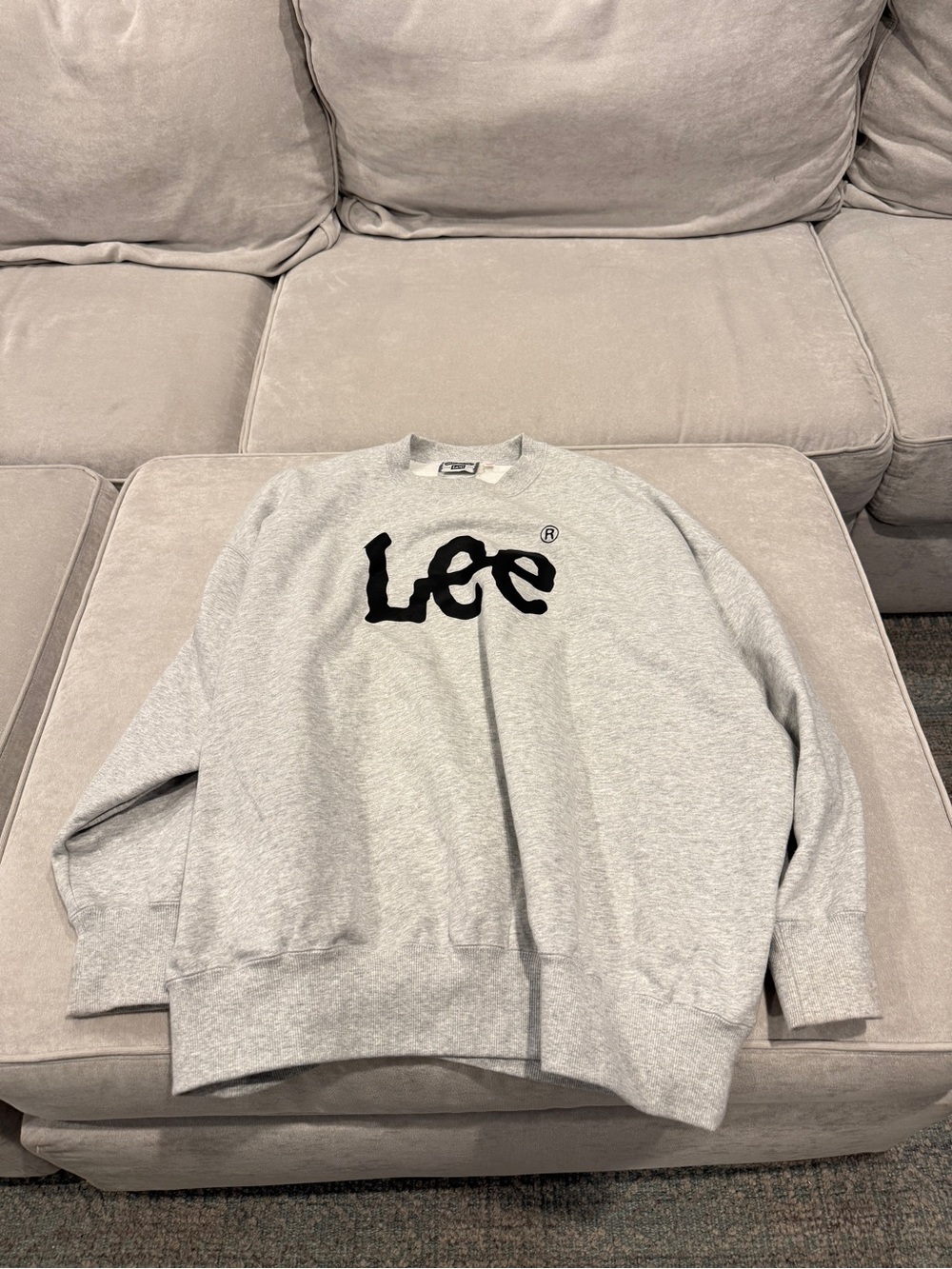 NWT Lee Crewneck Sweater in Light Gray